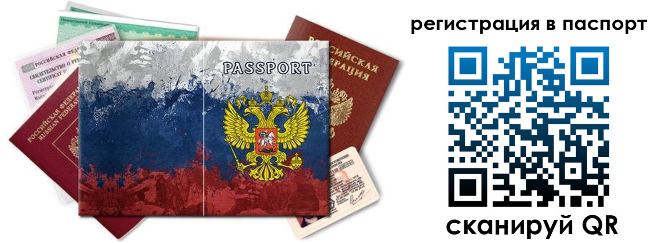 прописка поиск в Шадринске
